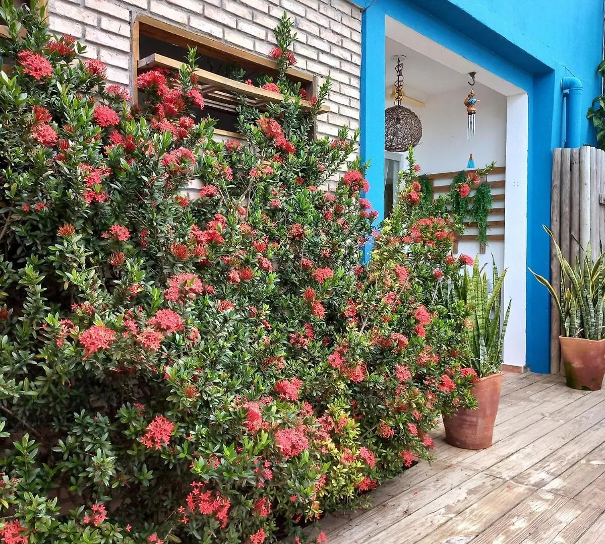 Casa Da Lucia, Trancoso Villa Porto Seguro Tatil Evi